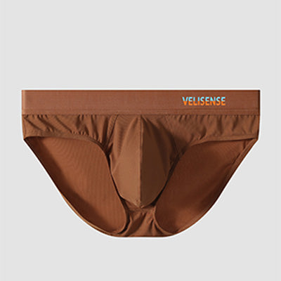 Briefs